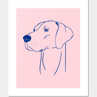 Weimaraner (Pink and Blue) Posters and Art